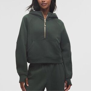 NWT Sold out. Scuba Oversized Half-Zip Hoodie